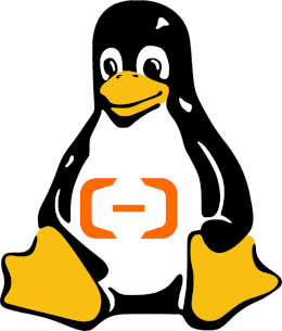 Aliyun Linux