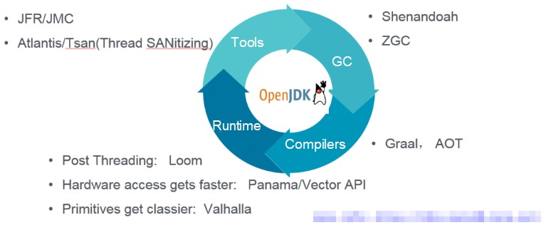 OpenJDK Technology Trend