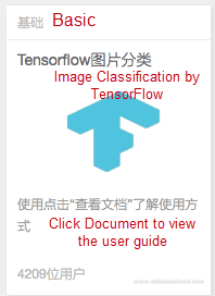 classification template