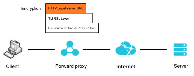 Immuniteit Tenen ontgrendelen How to Use NGINX as an HTTPS Forward Proxy Server - Alibaba Cloud Developer  Forums: Cloud Discussion Forums