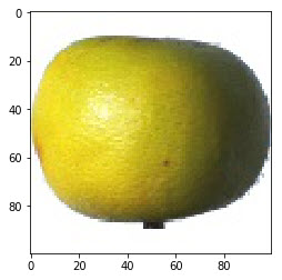 Fig10